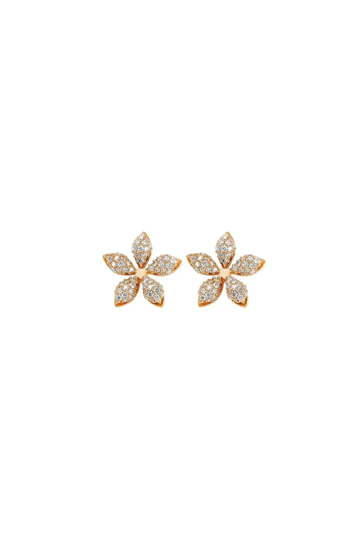 BEE GODDESS | APPLE SEED DIAMOND EARRINGS