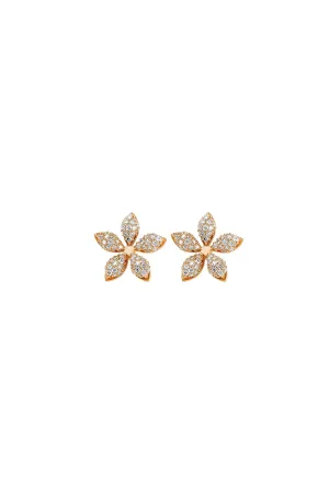 BEE GODDESS | APPLE SEED DIAMOND EARRINGS