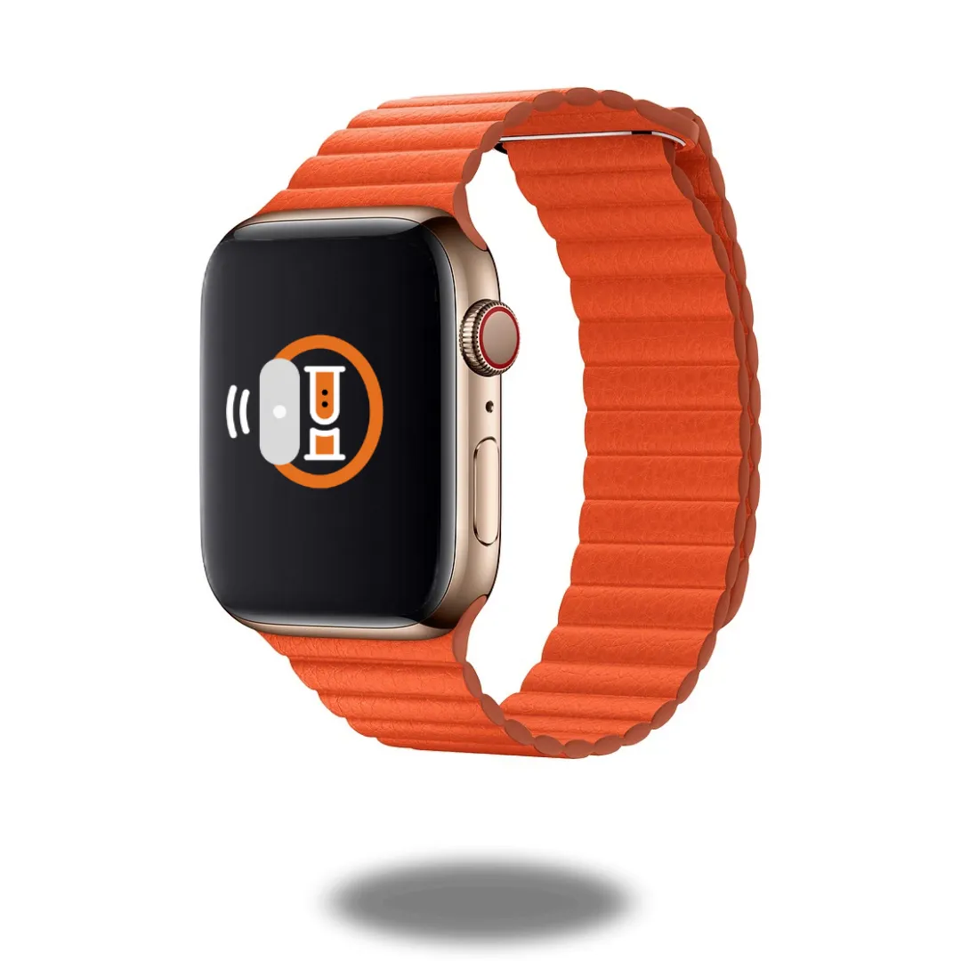 Leather Loop Bands