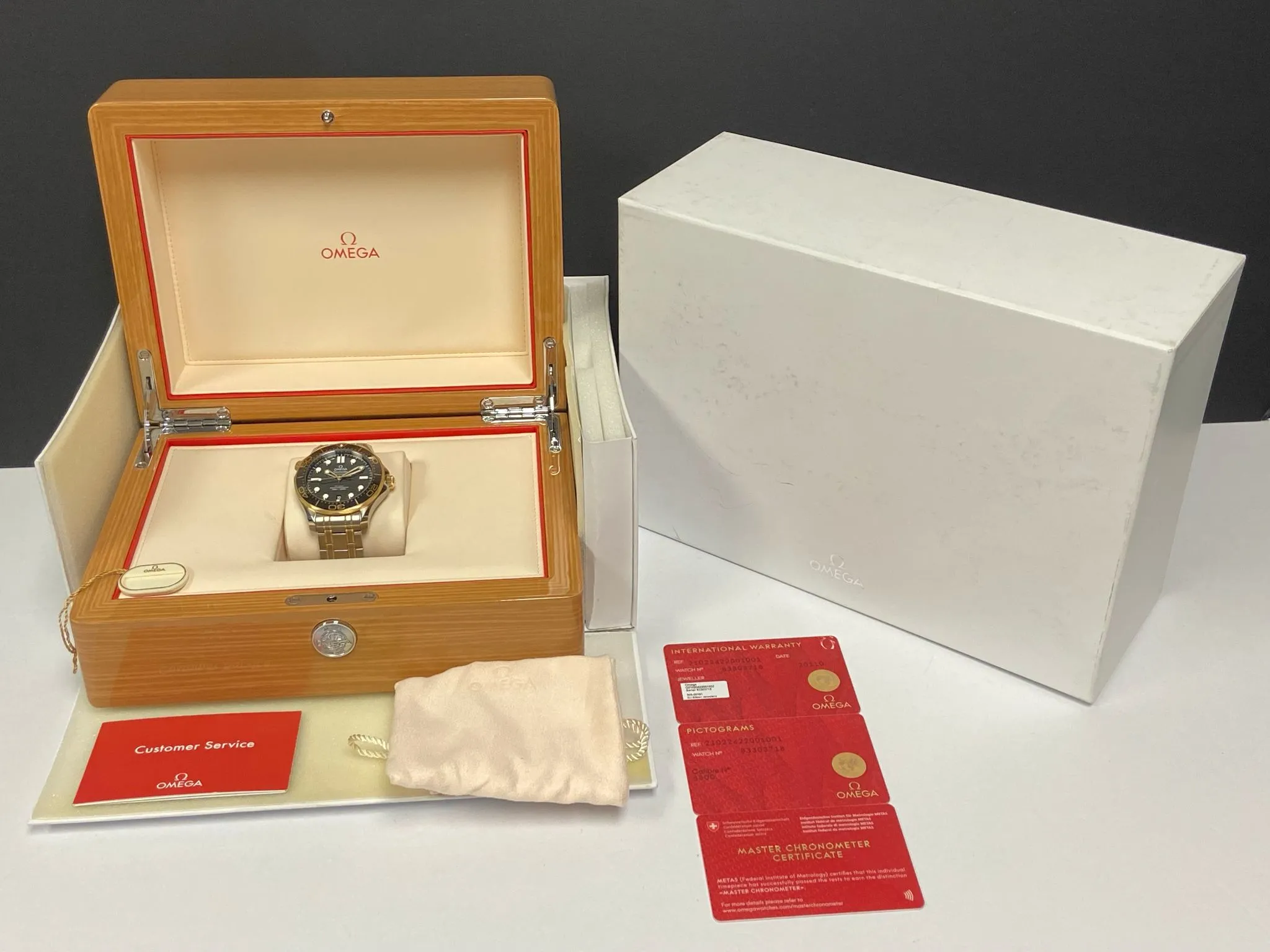 Omega Seamaster Diver 300M Steel & Rose Gold 42mm 210.20.42.20.01.001 Black Dial Automatic Men's Watch
