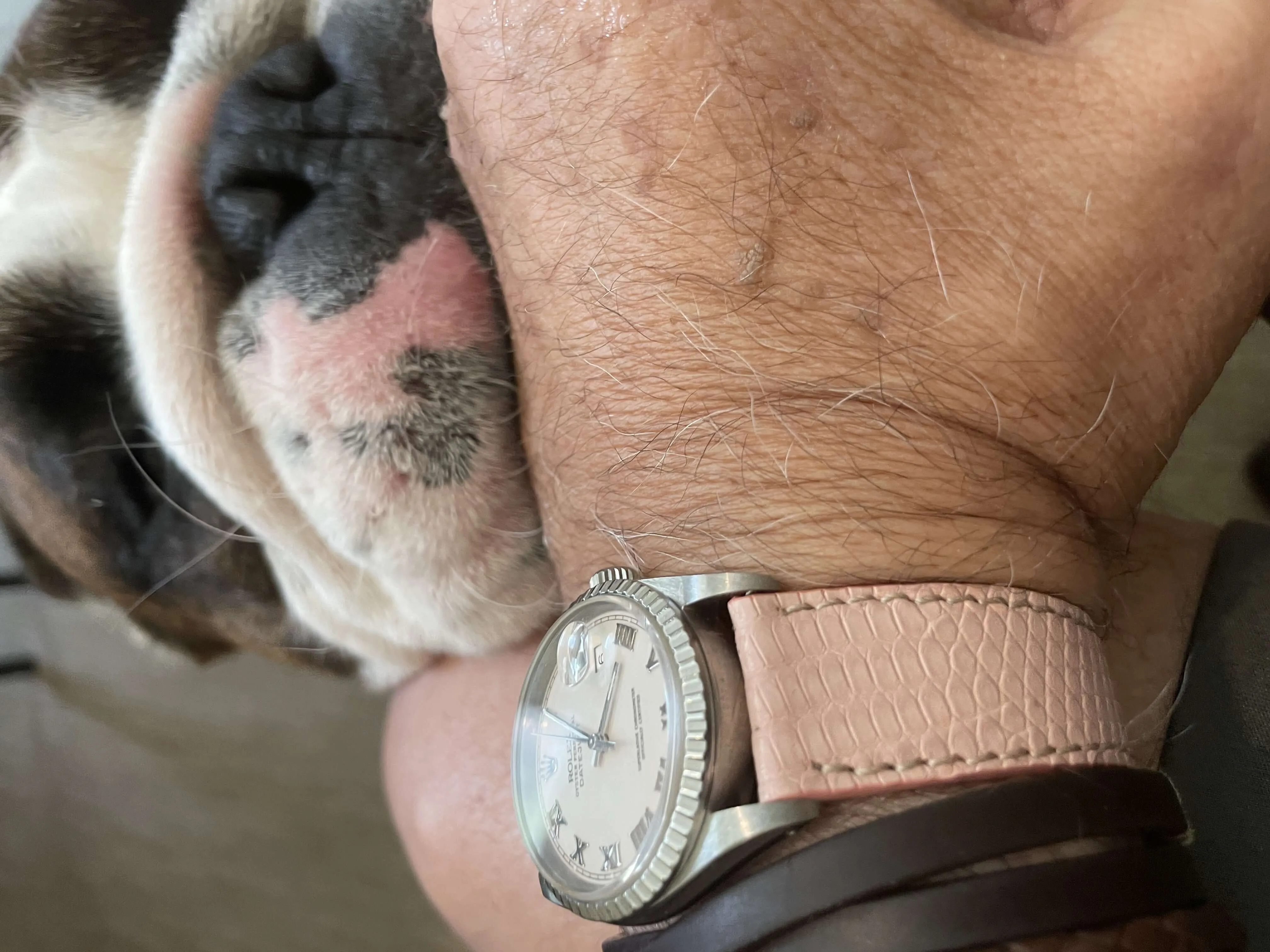 Pink Lizard Watch Strap