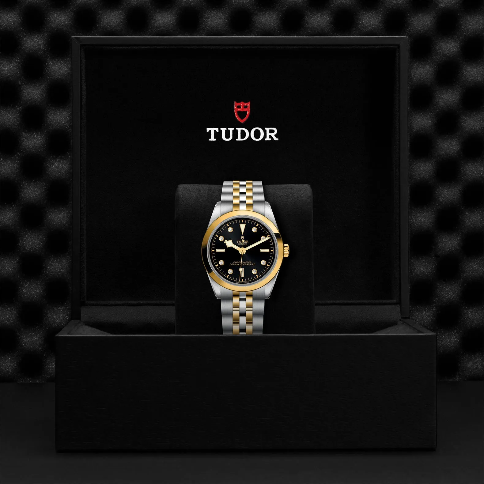 TUDOR Black Bay S&G 36mm Case, Black Diamond Dial, Steel & Yellow Gold Bracelet (M79643-0006)
