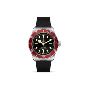 Tudor Black Bay